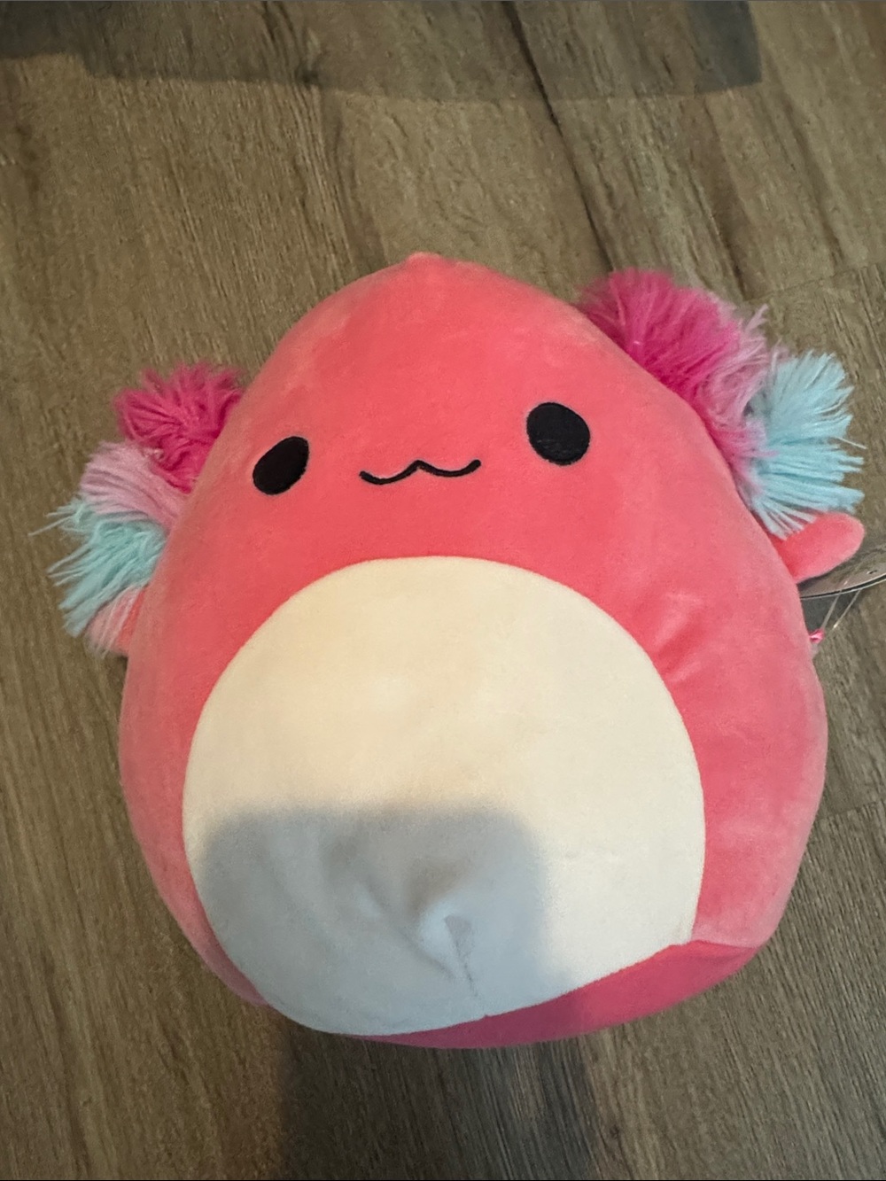 Squishmallows Pink Coral with White Belly and Multicolor Ears